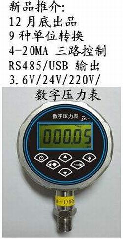 “南京c0nst273數(shù)字壓力表“/